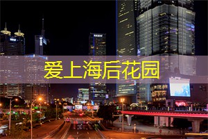 惊人之举！上海桥牌高手打破世界纪录，一连胜过百场比赛！