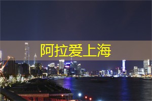 上海娱乐网：持续改进：上海茶庄的创新历程